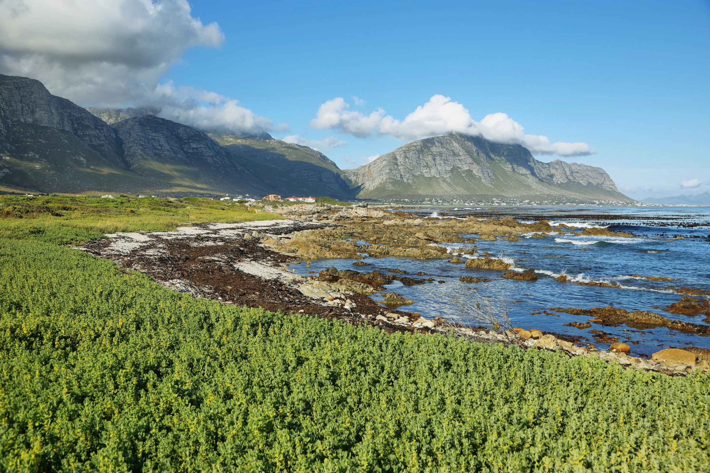 Betty's_Bay[1].webp